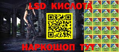 мяу мяу мука Дмитров