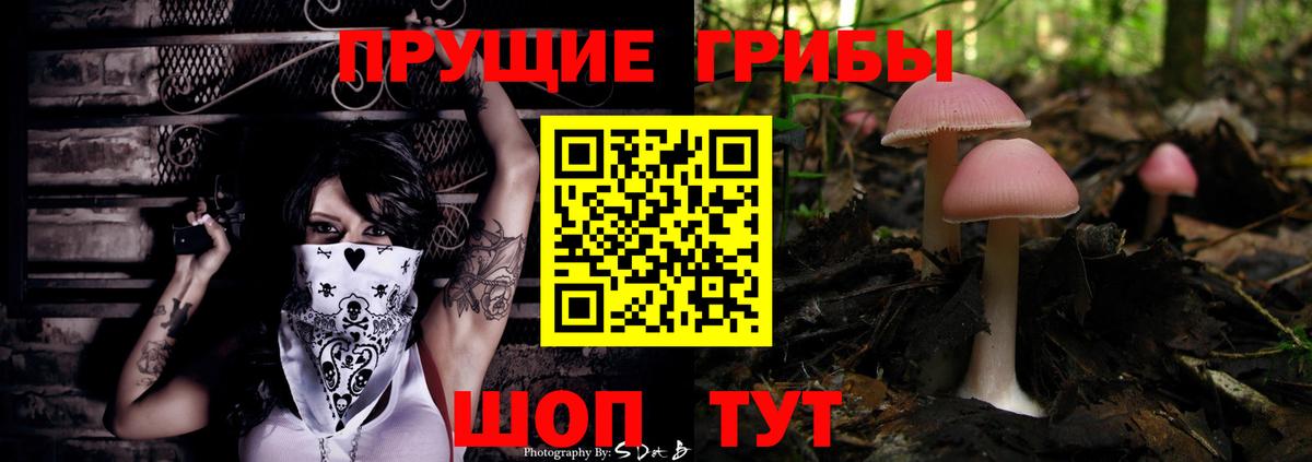 Галлюциногенные грибы Psilocybe Верхний Уфалей